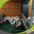 Tablero del PVC del equipo del ganado Tablero del destete del cerdo Weaner Pen para la protección de lechones